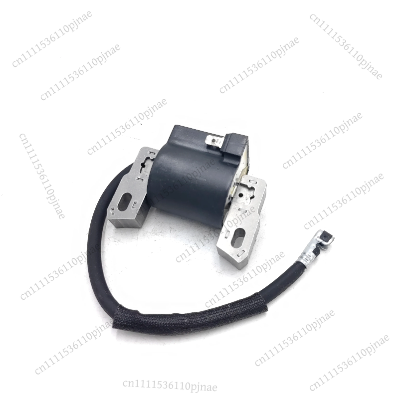 Ontstekingsspoelmodule 590454  - Outdoor Power Module recensie en prijs