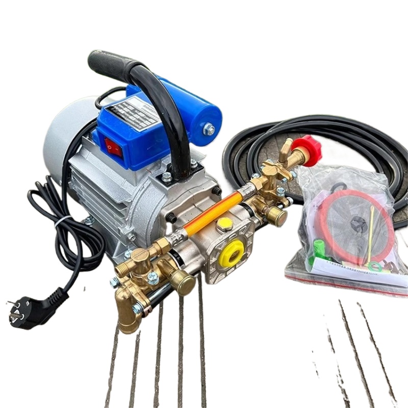 1100W 220V Viertakt Tweecilind - Electric Sprayer Backpack recensie en prijs